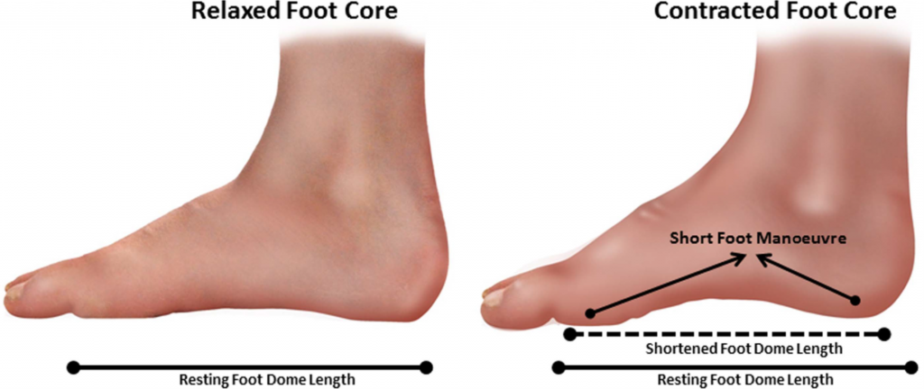 The short-foot or foot dome exercise.